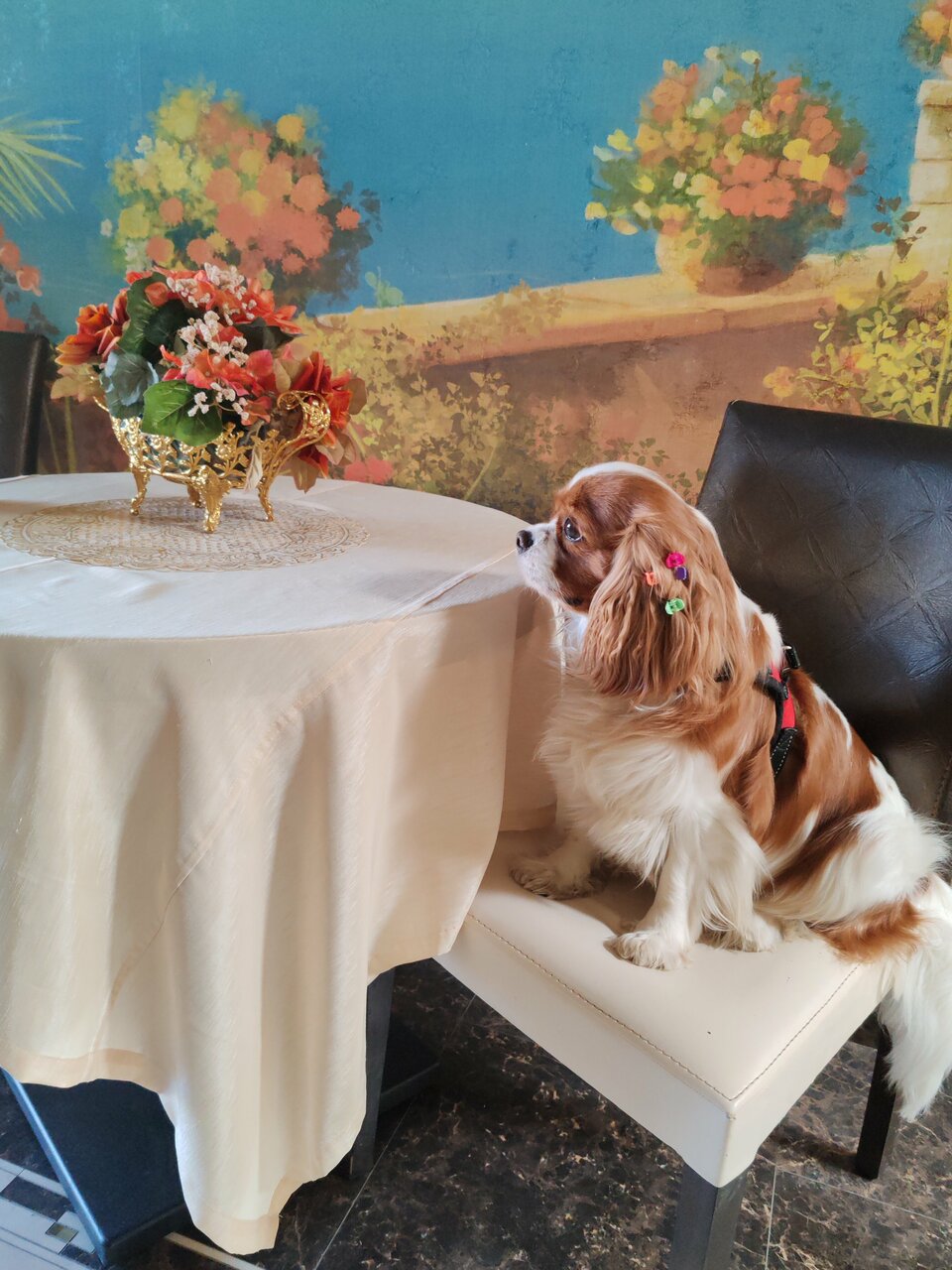 Гостиница Империал Геленджик-193