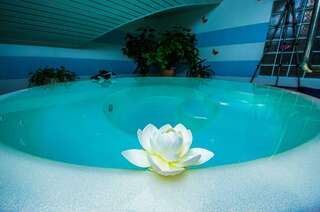 Гостиница Империал Геленджик-6